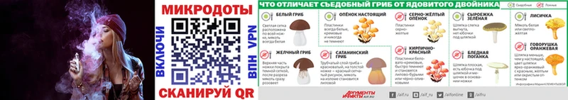 Купить закладки  Краснокаменск  Галлюциногенные грибы Magic Shrooms 